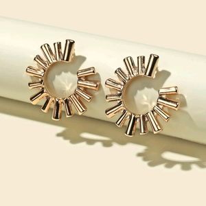 ☀️ Let the Sunshine In Earings